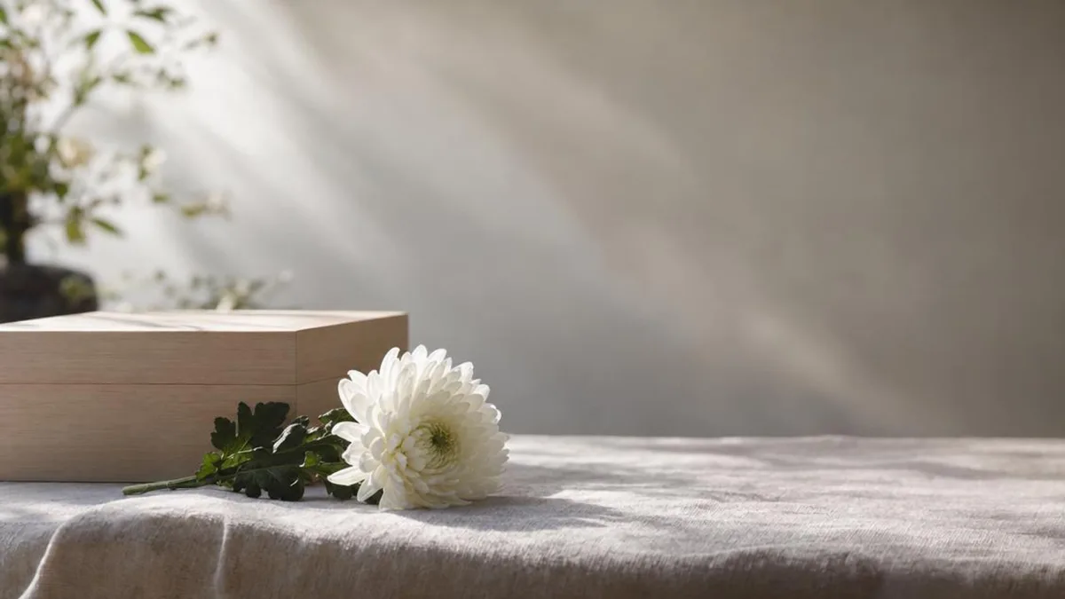 白い菊の花